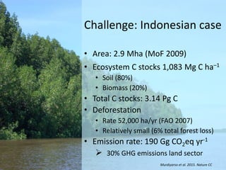 Incorporating Blue Carbon in REDD+