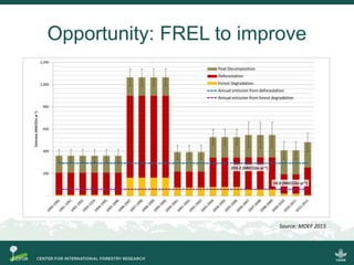 Incorporating Blue Carbon in REDD+