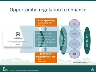 Incorporating Blue Carbon in REDD+