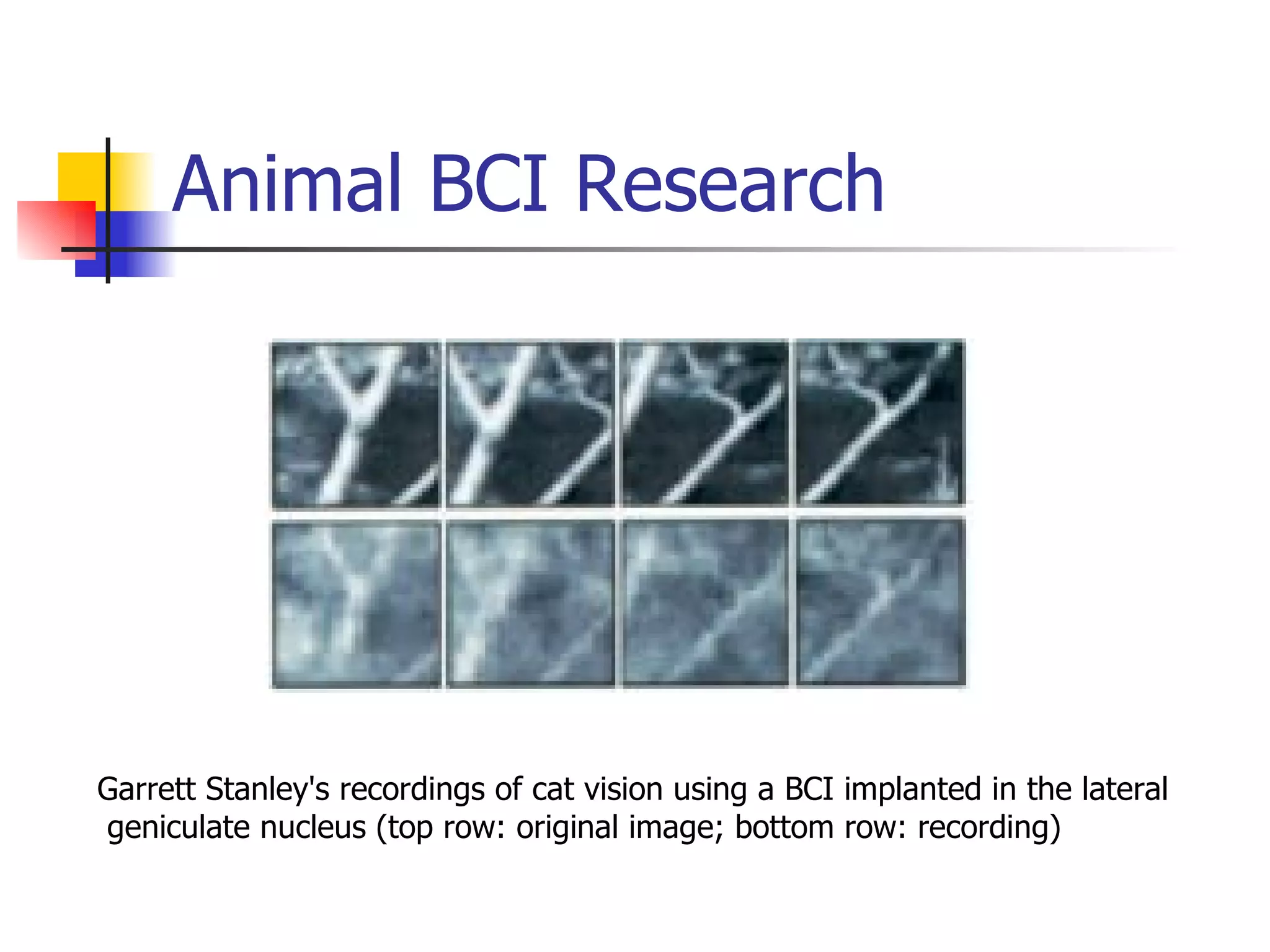 Animal BCI Research Garrett Stanley's recordings of cat vision using a BCI implanted in the lateral geniculate nucleus (top row: original image; bottom row: recording) 