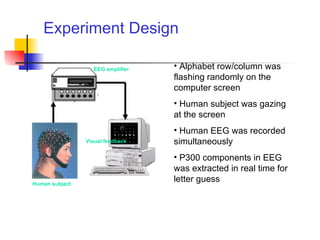 Experiment Design Alphabet row/column was flashing randomly on the computer screen Human subject was gazing at the screen Human EEG was recorded simultaneously  P300 components in EEG was extracted in real time for letter guess EEG amplifier Human subject Visual feedback 