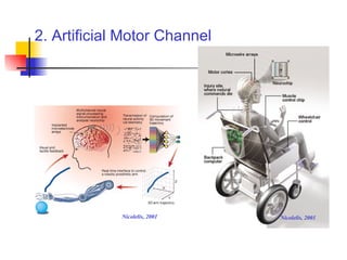 2. Artificial Motor Channel Nicolelis, 2001 Nicolelis, 2001 