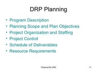DRP Planning Program Description  Planning Scope and Plan Objectives   Project Organization and Staffing   Project Control   Schedule of Deliverables   Resource Requirements 