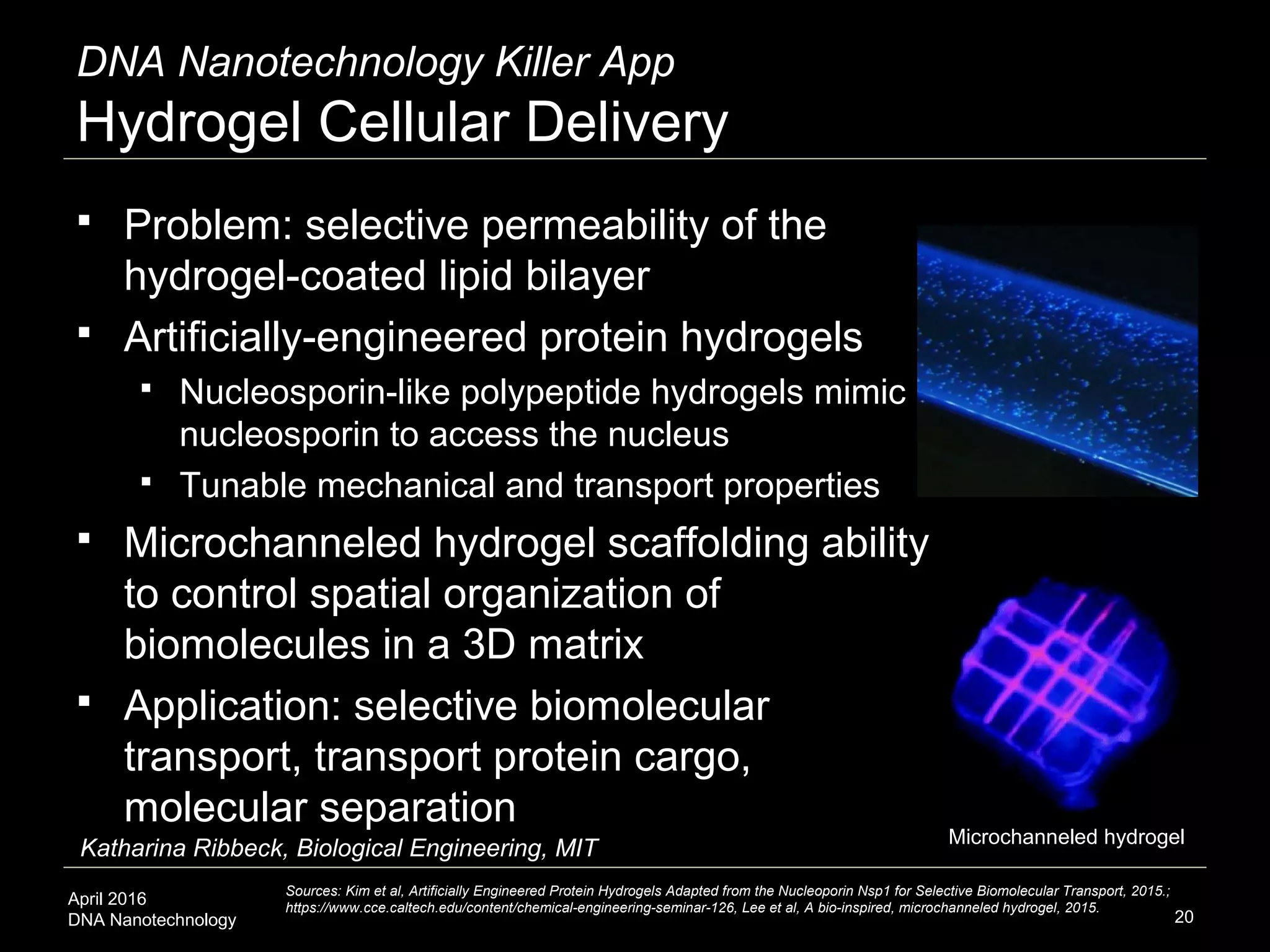 April 2016
DNA Nanotechnology
Microchanneled hydrogel
20
DNA Nanotechnology Killer App
Hydrogel Cellular Delivery
Sources: Kim et al, Artificially Engineered Protein Hydrogels Adapted from the Nucleoporin Nsp1 for Selective Biomolecular Transport, 2015.;
https://www.cce.caltech.edu/content/chemical-engineering-seminar-126, Lee et al, A bio-inspired, microchanneled hydrogel, 2015.
 Problem: selective permeability of the
hydrogel-coated lipid bilayer
 Artificially-engineered protein hydrogels
 Nucleosporin-like polypeptide hydrogels mimic
nucleosporin to access the nucleus
 Tunable mechanical and transport properties
 Microchanneled hydrogel scaffolding ability
to control spatial organization of
biomolecules in a 3D matrix
 Application: selective biomolecular
transport, transport protein cargo,
molecular separation
Katharina Ribbeck, Biological Engineering, MIT
 