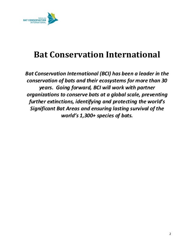 bat conservation international a five year strategy for bat conservation international a five year strategy for