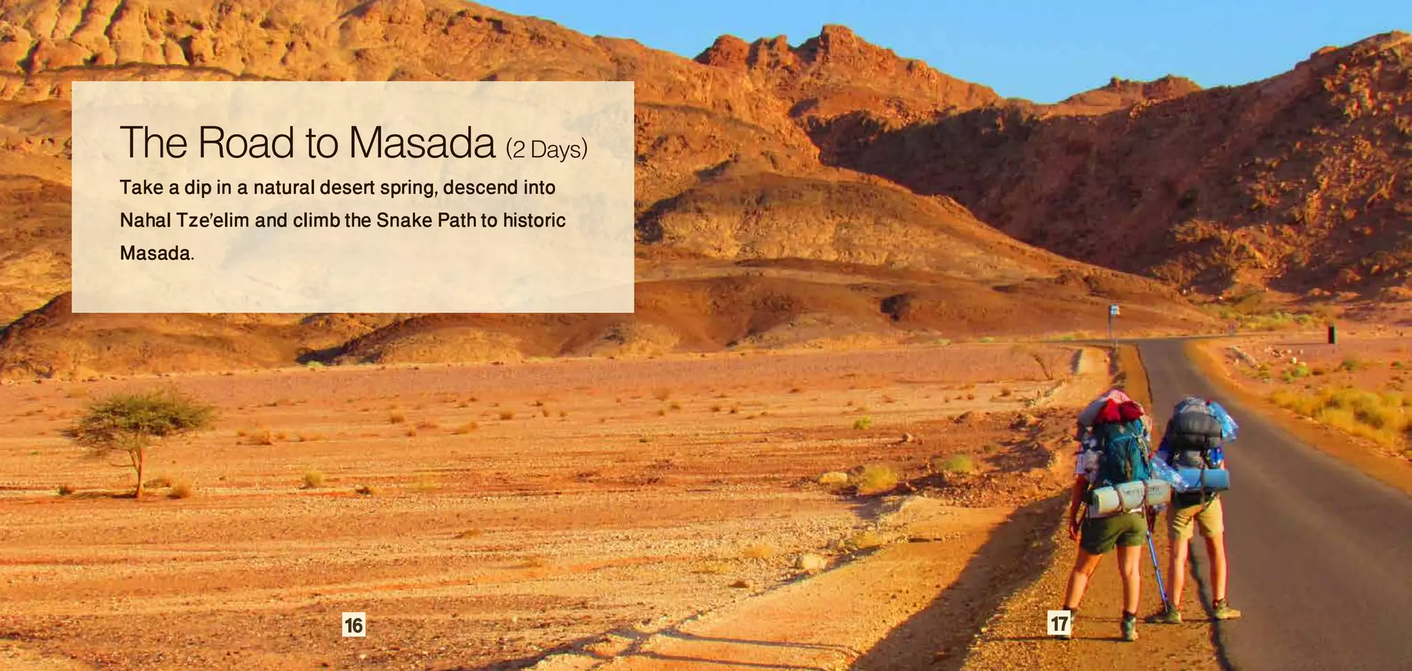 The Road to Masada (2 Days)
Take a dip in a natural desert spring, descend into
Nahal Tze'elim and climb the Snake Path to historic
Masada.




                         16                           17
 