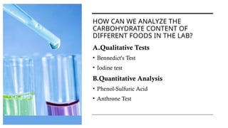 BCLAB FINAL.pptxbiochemistry and anatomy | PPTX