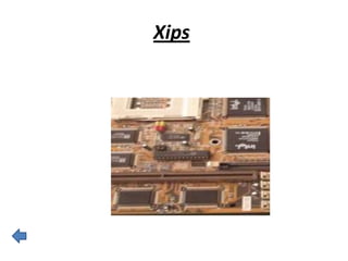 Xips
 