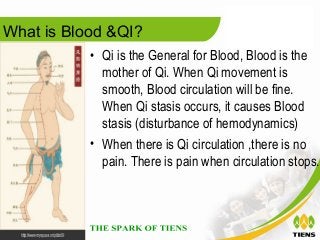What is Blood &QI?
           • Qi is the General for Blood, Blood is the
             mother of Qi. When Qi movement is
 ...