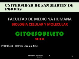 UNIVERSIDAD DE SAN MARTIN DE
PORRAS
FACULTAD DE MEDICINA HUMANA
BIOLOGIA CELULAR Y MOLECULAR
CITOESQUELETO
2015-II
PROFESOR: Hélmer Lezama, MSc.
USMP-FMH- BCM-2015-II H.
Lezama
1
 
