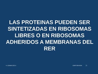 LAS PROTEINAS PUEDEN SER
SINTETIZADAS EN RIBOSOMAS
LIBRES O EN RIBOSOMAS
ADHERIDOS A MEMBRANAS DEL
RER
USMP-FMH-BCMH. LEZAMA 2015-II 21
 