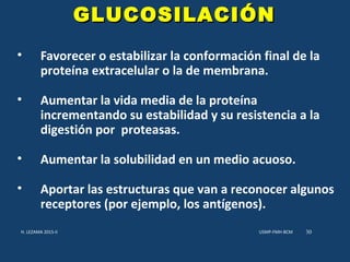 • Favorecer o estabilizar la conformación final de la
proteína extracelular o la de membrana.
• Aumentar la vida media de la proteína
incrementando su estabilidad y su resistencia a la
digestión por proteasas.
• Aumentar la solubilidad en un medio acuoso.
• Aportar las estructuras que van a reconocer algunos
receptores (por ejemplo, los antígenos).
USMP-FMH-BCMH. LEZAMA 2015-II 30
GLUCOSILACIÓNGLUCOSILACIÓN
 