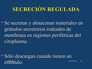 SECRECIÓN REGULADASECRECIÓN REGULADA
 Se secretan y almacenan materiales enSe secretan y almacenan materiales en
gránulos secretorios rodeados degránulos secretorios rodeados de
membrana en regiones periféricas delmembrana en regiones periféricas del
citoplasma.citoplasma.
 Sólo descargan cuando tienen unSólo descargan cuando tienen un
estímulo.estímulo. USMP-FMH-BCMH. LEZAMA 2015-II 46
 