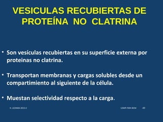 VESICULAS RECUBIERTAS DE
PROTEÍNA NO CLATRINA
• Son vesículas recubiertas en su superficie externa por
proteinas no clatrina.
• Transportan membranas y cargas solubles desde un
compartimiento al siguiente de la célula.
• Muestan selectividad respecto a la carga.
USMP-FMH-BCMH. LEZAMA 2015-II 49
 