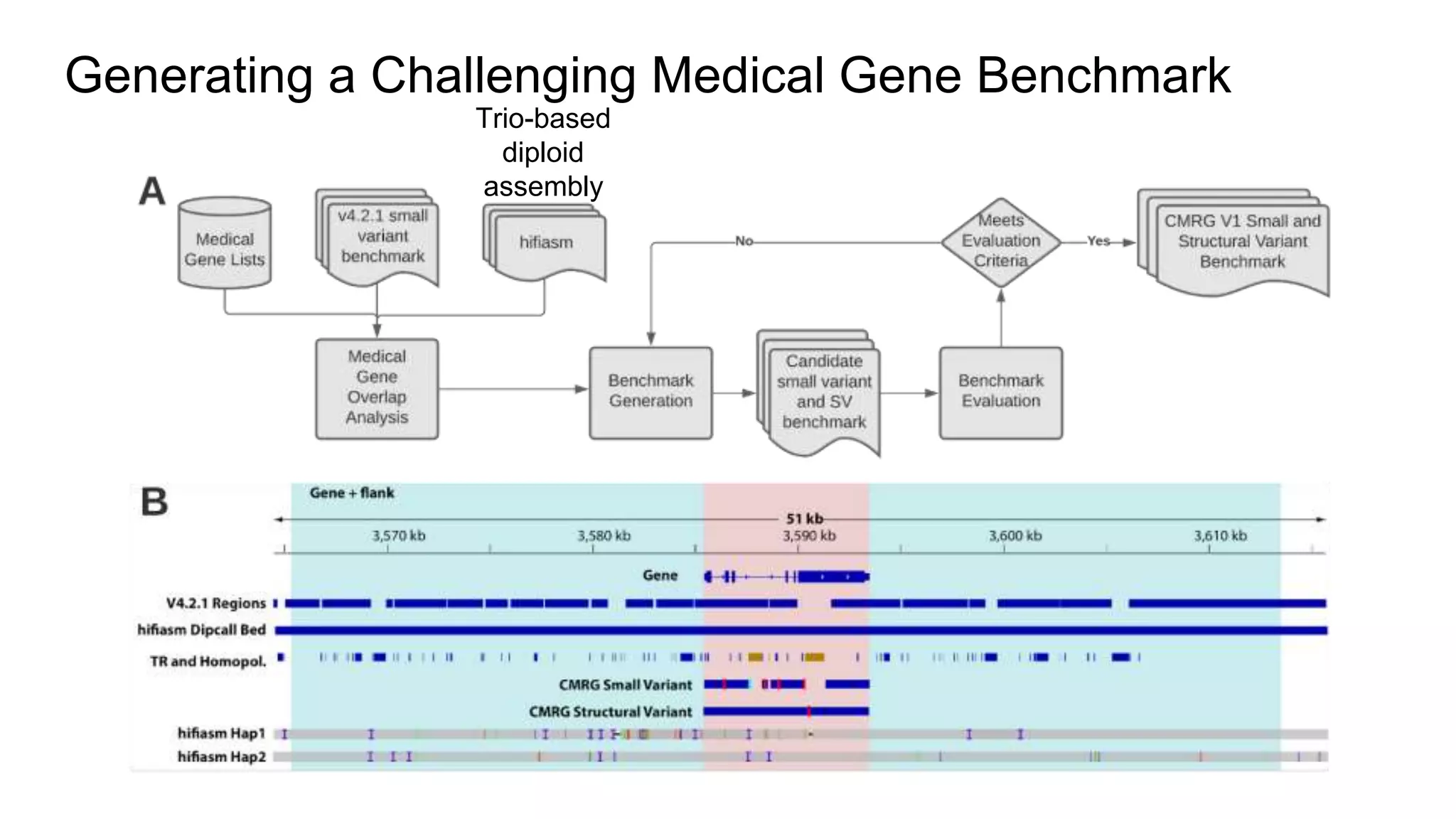 Generating a Challenging Medical Gene Benchmark
Trio-based
diploid
assembly
 