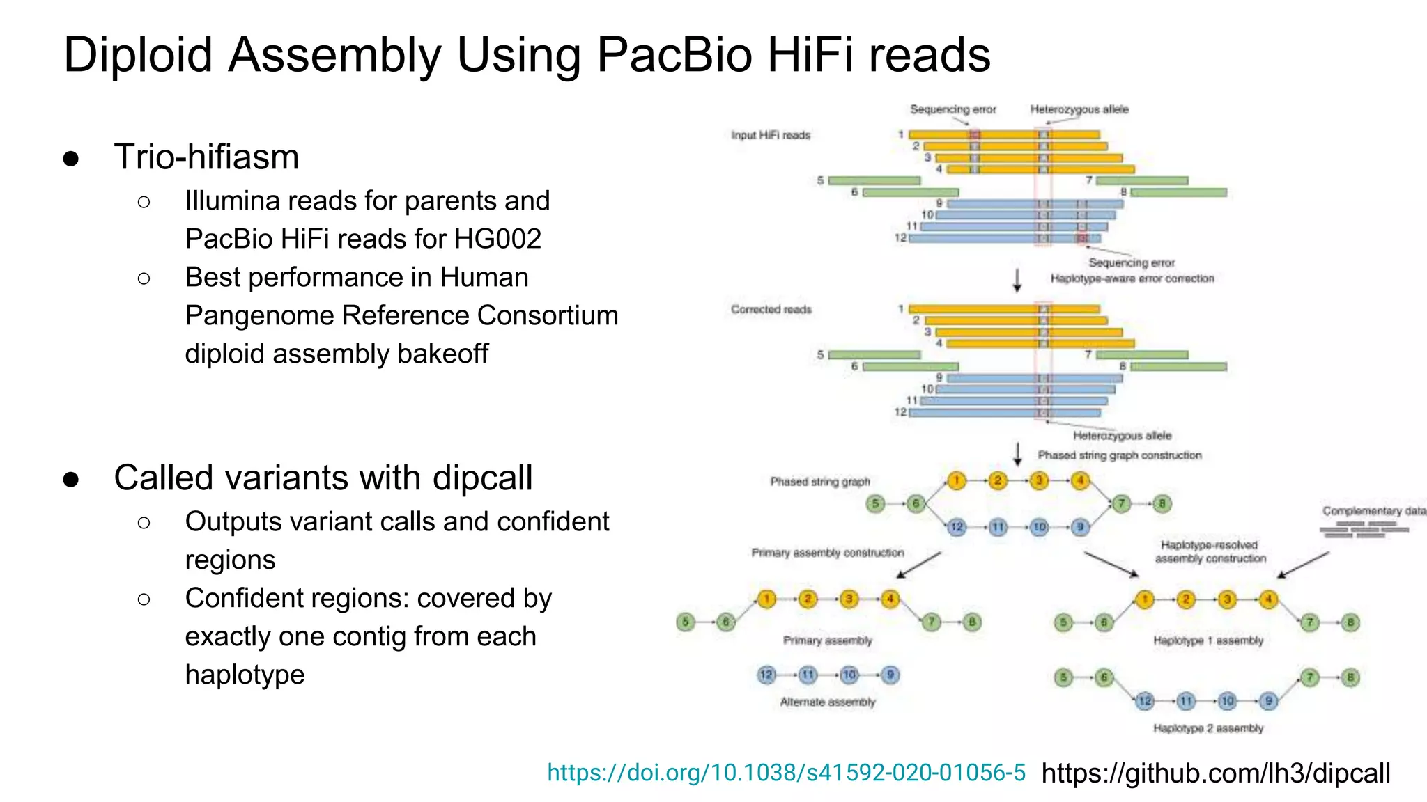 Diploid Assembly Using PacBio HiFi reads
● Trio-hifiasm
○ Illumina reads for parents and
PacBio HiFi reads for HG002
○ Best performance in Human
Pangenome Reference Consortium
diploid assembly bakeoff
● Called variants with dipcall
○ Outputs variant calls and confident
regions
○ Confident regions: covered by
exactly one contig from each
haplotype
https://github.com/lh3/dipcall
https://doi.org/10.1038/s41592-020-01056-5
 
