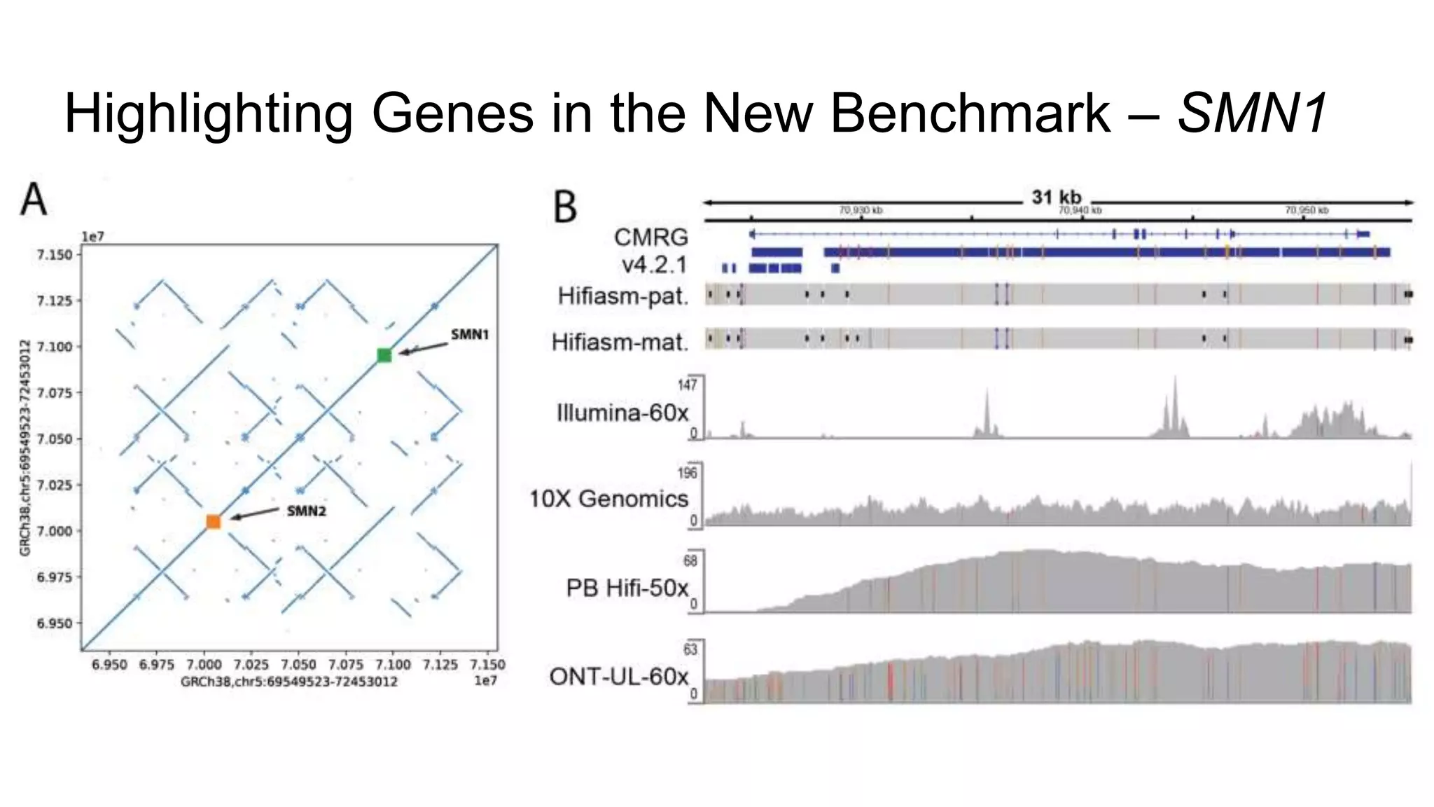 Highlighting Genes in the New Benchmark – SMN1
 