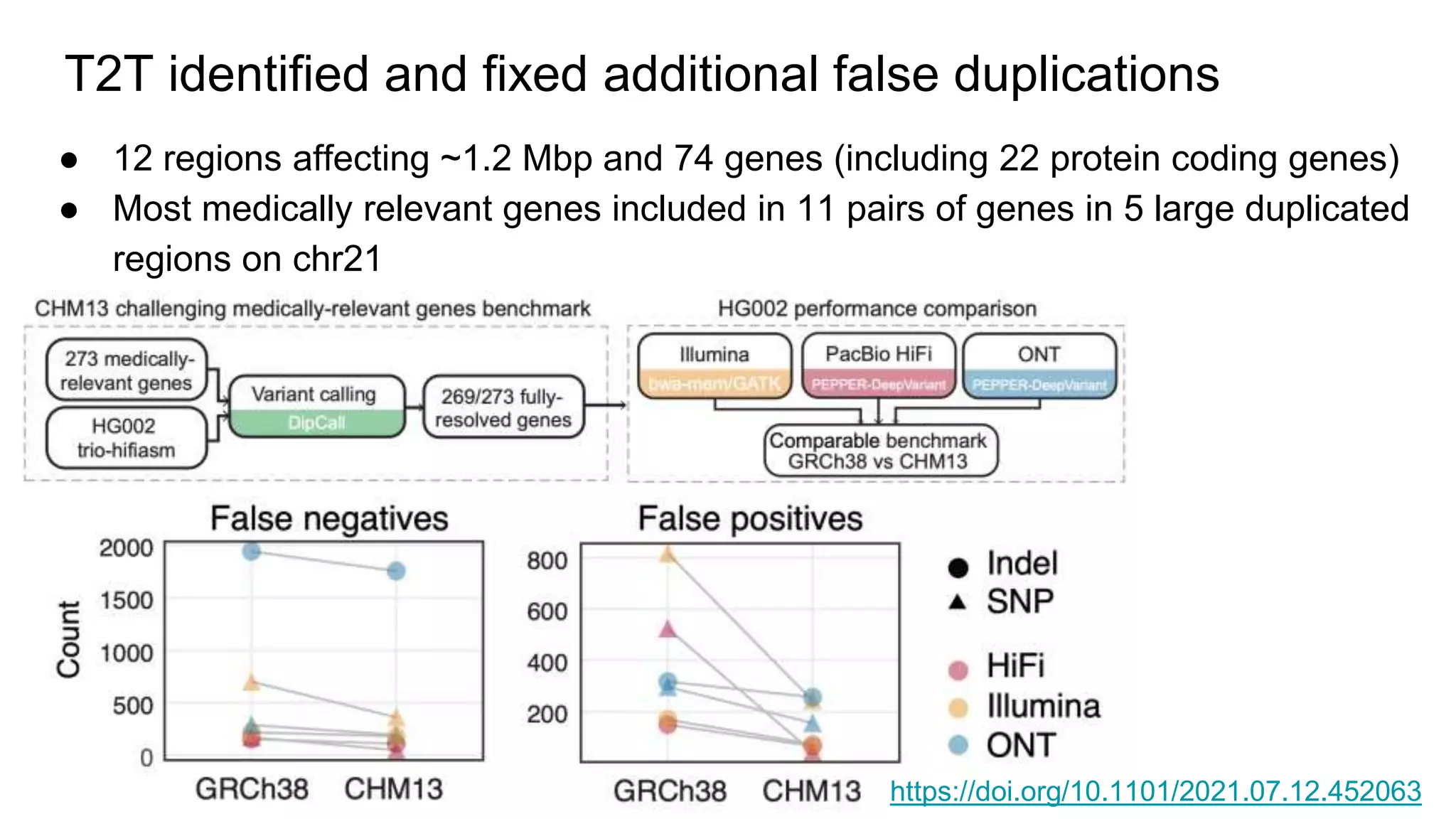 T2T identified and fixed additional false duplications
● 12 regions affecting ~1.2 Mbp and 74 genes (including 22 protein coding genes)
● Most medically relevant genes included in 11 pairs of genes in 5 large duplicated
regions on chr21
https://doi.org/10.1101/2021.07.12.452063
 