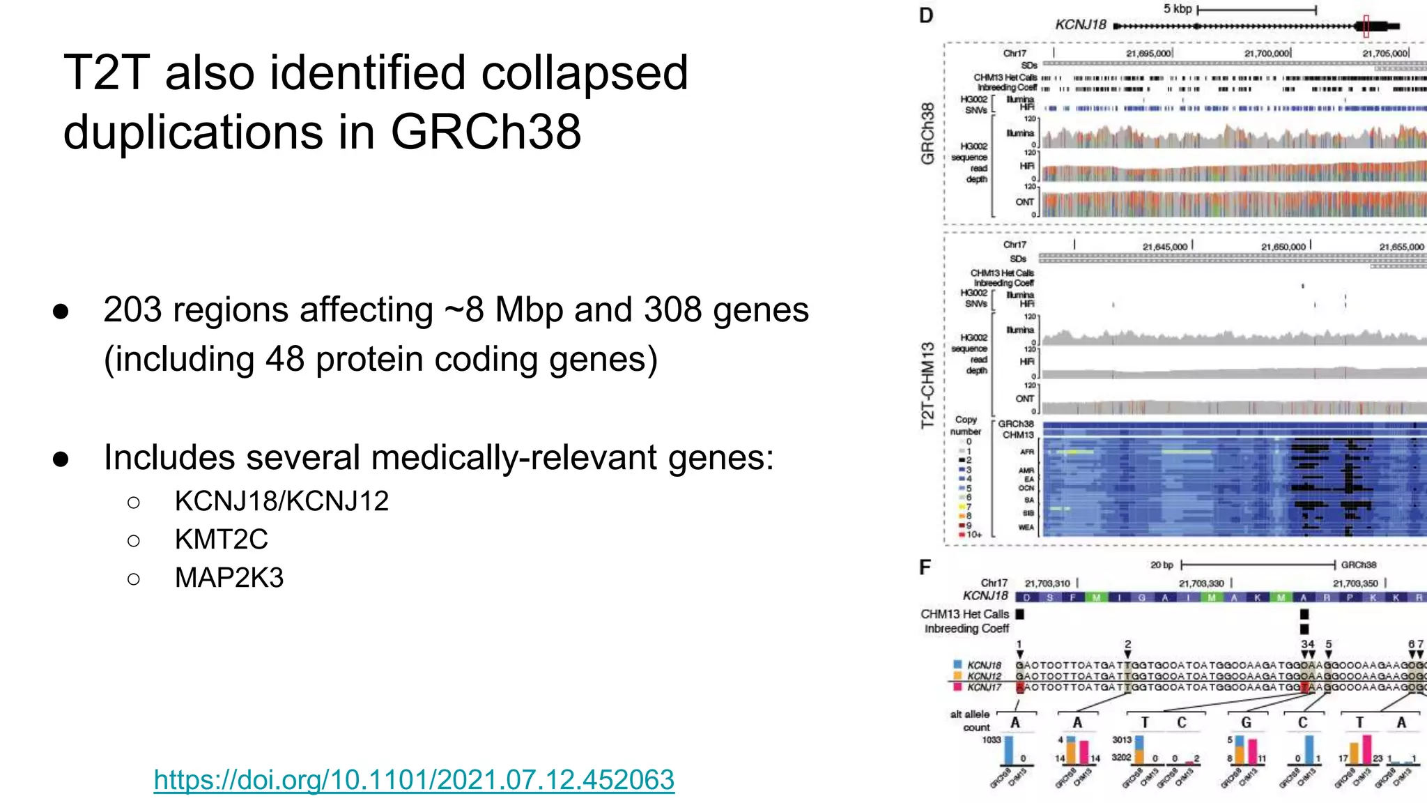 T2T also identified collapsed
duplications in GRCh38
● 203 regions affecting ~8 Mbp and 308 genes
(including 48 protein coding genes)
● Includes several medically-relevant genes:
○ KCNJ18/KCNJ12
○ KMT2C
○ MAP2K3
https://doi.org/10.1101/2021.07.12.452063
 