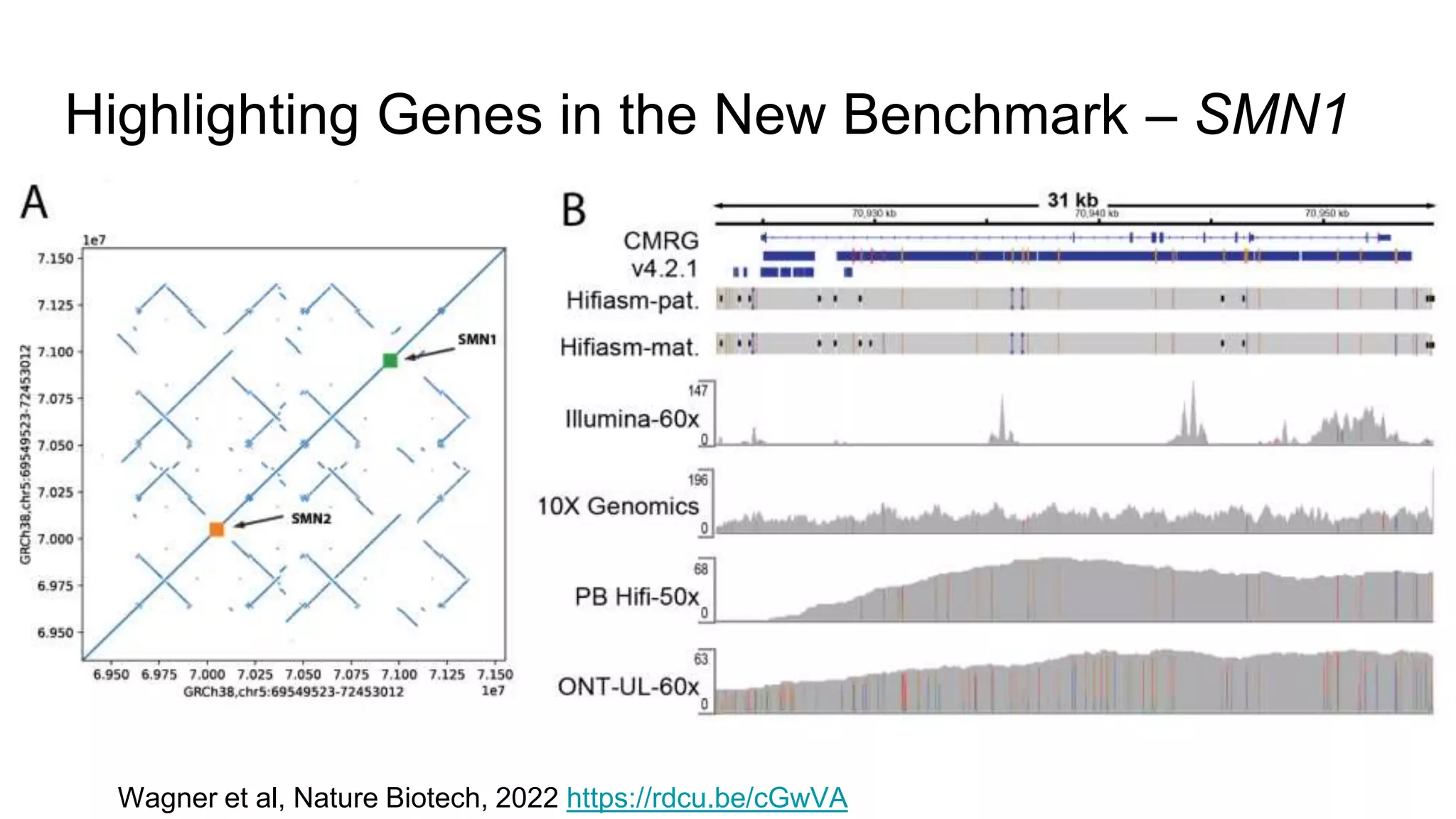 Highlighting Genes in the New Benchmark – SMN1
Wagner et al, Nature Biotech, 2022 https://rdcu.be/cGwVA
 