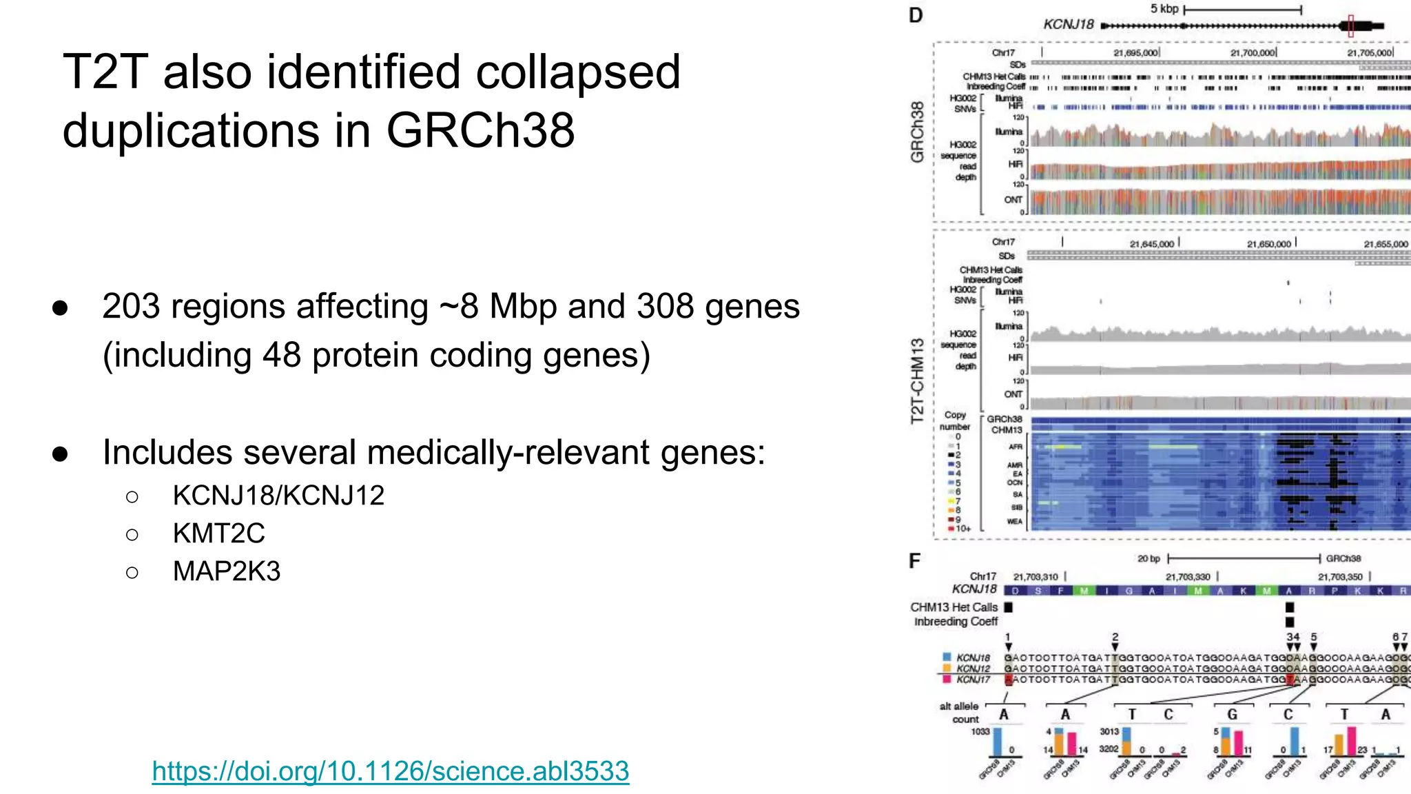T2T also identified collapsed
duplications in GRCh38
● 203 regions affecting ~8 Mbp and 308 genes
(including 48 protein coding genes)
● Includes several medically-relevant genes:
○ KCNJ18/KCNJ12
○ KMT2C
○ MAP2K3
https://doi.org/10.1126/science.abl3533
 