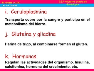 i. Ceruloplasmina
Transporta cobre por la sangre y participa en el
metabolismo del hierro.
j. Gluteína y gliadina
Harina de trigo, al combinarse forman el gluten.
k. Hormonas
Regulan las actividades del organismo. Insulina,
calcitonina, hormona del crecimiento, etc.
I.E.P «Nuestra Señora de
Guadalupe»
III - Unidad : C.T.A
LAS PROTEÍNAS
 