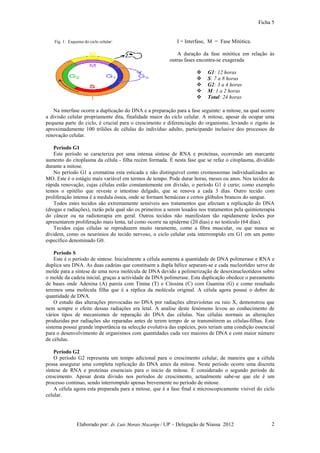 Ficha 5


    Fig. 1: Esquema do ciclo celular:                        I = Interfase, M = Fase Mitótica.

                                                             A duração da fase mitótica em relação às
                                                          outras fases encontra-se exagerada

                                                                           G1: 12 horas
                                                                           S: 7 a 8 horas
                                                                           G2: 3 a 4 horas
                                                                           M: 1 a 2 horas
                                                                           Total: 24 horas

   Na interfase ocorre a duplicação do DNA e a preparação para a fase seguinte: a mitose, na qual ocorre
a divisão celular propriamente dita, finalidade maior do ciclo celular. A mitose, apesar de ocupar uma
pequena parte do ciclo, é crucial para o crescimento e diferenciação do organismo, levando o zigoto às
aproximadamente 100 triliões de células do indivíduo adulto, participando inclusive dos processos de
renovação celular.

    Período G1
    Este período se caracteriza por uma intensa síntese de RNA e proteínas, ocorrendo um marcante
aumento do citoplasma da célula - filha recém formada. É nesta fase que se refaz o citoplasma, dividido
durante a mitose.
    No período G1 a cromatina esta esticada e não distinguível como cromossomas individualizados ao
MO. Este é o estágio mais variável em termos de tempo. Pode durar horas, meses ou anos. Nos tecidos de
rápida renovação, cujas células estão constantemente em divisão, o período G1 é curto; como exemplo
temos o epitélio que reveste o intestino delgado, que se renova a cada 3 dias. Outro tecido com
proliferação intensa é a medula óssea, onde se formam hemáceas e certos glóbulos brancos do sangue.
    Todos estes tecidos são extremamente sensíveis aos tratamentos que afectam a replicação do DNA
(drogas e radiações), razão pela qual são os primeiros a serem lesados nos tratamentos pela quimioterapia
do câncer ou na radioterapia em geral. Outros tecidos não manifestam tão rapidamente lesões por
apresentarem proliferação mais lenta, tal como ocorre na epiderme (20 dias) e no testículo (64 dias).
    Tecidos cujas células se reproduzem muito raramente, como a fibra muscular, ou que nunca se
dividem, como os neurónios do tecido nervoso, o ciclo celular esta interrompido em G1 em um ponto
específico denominado G0.

    Período S
    Este é o período de síntese. Inicialmente a célula aumenta a quantidade de DNA polimerase e RNA e
duplica seu DNA. As duas cadeias que constituem a dupla hélice separam-se e cada nucleotídeo serve de
molde para a síntese de uma nova molécula de DNA devido a polimerização de desoxinucleotídeos sobre
o molde da cadeia inicial, graças a actividade da DNA polimerase. Esta duplicação obedece o pareamento
de bases onde Adenina (A) pareia com Tinina (T) e Citosina (C) com Guanina (G) e como resultado
teremos uma molécula filha que é a réplica da molécula original. A célula agora possui o dobro de
quantidade de DNA.
    O estudo das alterações provocadas no DNA por radiações ultravioletas ou raio X, demonstrou que
nem sempre o efeito dessas radiações era letal. A analise deste fenómeno levou ao conhecimento de
vários tipos de mecanismos de reparação do DNA das células. Nas células normais as alterações
produzidas por radiações são reparadas antes de terem tempo de se transmitirem as células-filhas. Este
sistema possui grande importância na selecção evolutiva das espécies, pois teriam uma condição essencial
para o desenvolvimento de organismos com quantidades cada vez maiores de DNA e com maior número
de células.

    Período G2
    O período G2 representa um tempo adicional para o crescimento celular, de maneira que a célula
possa assegurar uma completa replicação do DNA antes da mitose. Neste período ocorre uma discreta
síntese de RNA e proteínas essenciais para o inicio da mitose. É considerado o segundo período de
crescimento. Apesar desta divisão nos períodos de crescimento, actualmente sabe-se que ele é um
processo continuo, sendo interrompido apenas brevemente no período de mitose.
    A célula agora esta preparada para a mitose, que é a fase final e microscopicamente visível do ciclo
celular.




                Elaborado por: dr. Luís Morais Macaripe / UP – Delegação de Niassa 2012                2
 