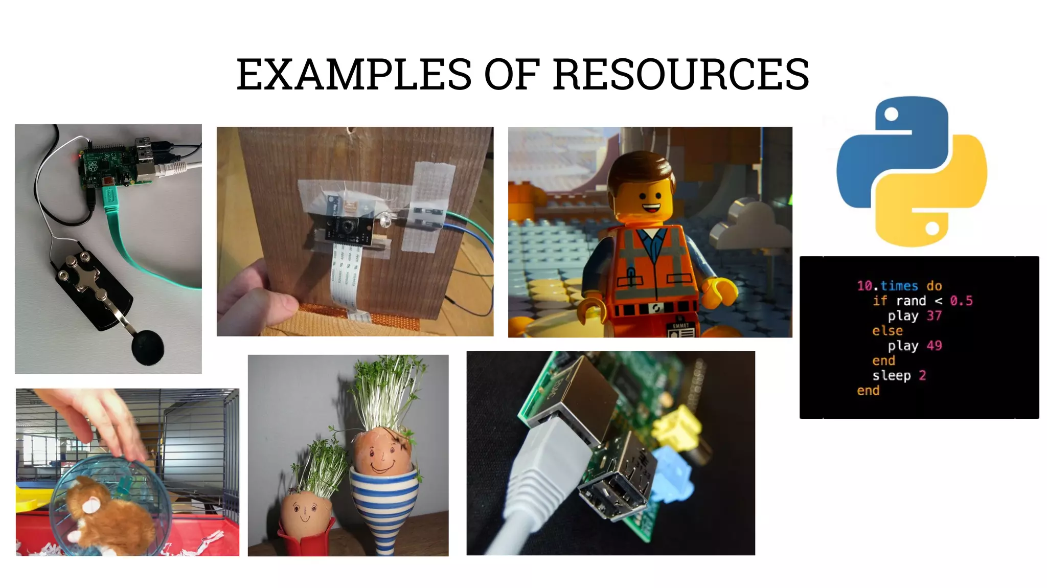EXAMPLES OF RESOURCES 
 