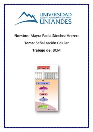 Nombre: Mayra Paola Sánchez Herrera 
Tema: Señalización Celular 
Trabajo de: BCM 
 