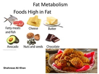 Fat Metabolism
Shahneaz Ali Khan
 