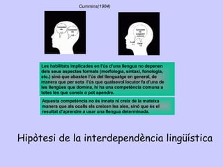 Les habilitats implicades en l’ús d’una llengua no depenen
dels seus aspectes formals (morfologia, sintaxi, fonologia,
etc.) sinó que abasten l’ús del llenguatge en general, de
manera que per sota l’ús que qualsevol locutor fa d’una de
les llengües que domina, hi ha una competència comuna a
totes les que coneix o pot apendre.
Aquesta competència no és innata ni creix de la mateixa
manera que als ocells els creixen les ales, sinó que és el
resultat d’aprendre a usar una llengua determinada.
Competèn
cia
L1
Competèn
cia
L2
Competèn
cia
subjacent
comuna
Canal
L1 Canal
L2
Cummins(1984)
Hipòtesi de la interdependència lingüística
 