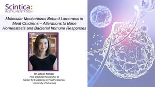 Molecular Mechanisms Behind Lameness in
Meat Chickens – Alterations to Bone
Homeostasis and Bacterial Immune Responses
Dr. Alison Ramser
Post-Doctoral Researcher at
Center for Excellence in Poultry Science,
University of Arkansas
 