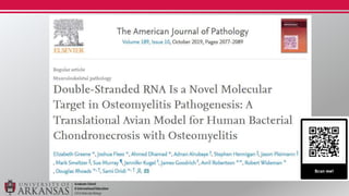 Double-stranded RNA in BCO
 