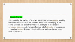 • Genetic Diversity
It is basically the variety of species expressed at the genetic level by
each individual in a species. No two individuals belonging to the
same species are exactly similar. For example, in the species
of human beings, each human shows a lot of diversity in comparison
to another human. People living in different regions show a great
level of variation.
 