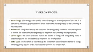 ENERGY FLOWS
 