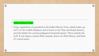 • Indian Desert Zone
• Large expansions of grassland in the Indian Desert Zone, which makes up
6.6% of the world’s landmass and is home to the Thar and Kutch deserts,
provide habitat for several endangered mammal species. These include the
wolf (Canis lupus), caracal (Felis caracal), desert cat (Felis libyca), and birds
of conservation.
 