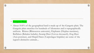 • Gangetic Plain
• About 10.8% of the geographical land is made up of the Gangetic plain. The
Gangetic plain stretches for hundreds of kilometres and is topographically
uniform. Rhinos (Rhinoceros unicornis), Elephants (Elephas maximus),
Buffaloes (Bubalus bubalis), Swamp Deer (Cervus duvauceli), Hog-Deer
(Axis porcinus), and Hispid Hares (Carprolagus bispidus) are some of the
region’s distinctive animals....
 