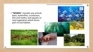 BCOM 110 – Environmental Science and Sustainability.pptx