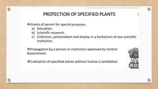 BCOM 110 – Environmental Science and Sustainability.pptx