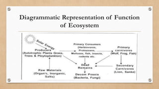 Diagrammatic Representation of Function
of Ecosystem
 