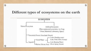Different types of ecosystems on the earth
 