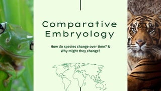 Comparative
Embryology
How do species change over time? &
Why might they change?
 