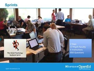 Sprints
2 Days
17 Psych Faculty
6 Institutions
850 Questions
 