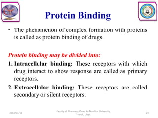 Protein Binding
• The phenomenon of complex formation with proteins
is called as protein binding of drugs.
Protein binding may be divided into:
1. Intracellular binding: These receptors with which
drug interact to show response are called as primary
receptors.
2. Extracellular binding: These receptors are called
secondary or silent receptors.
2014/03/16 24
Faculty of Pharmacy, Omer Al-Mukhtar University,
Tobruk, Libya.
 