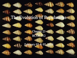 The Evolution of Populations
Chapter 23
BCOR 012
February 03 & 05, 2010
 
