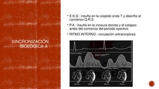 SINCRONIZACIÓN
BIOLÓGICA A
 E.K.G : insufla en la cúspide onda T y desinfla al
comienzo Q.R.S
 P.A : insufla en la incisura dicrota y el colapso
antes del comienzo del periodo eyectivo.
 RITMO INTERNO : circulación extracorpórea
 