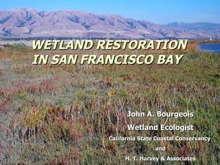 WETLAND RESTORATION  IN SAN FRANCISCO BAY  John A. Bourgeois Wetland Ecologist California State Coastal Conservancy  and H. T. Harvey & Associates 