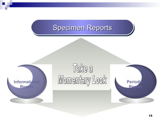 Specimen Reports Take a  Momentary Look Periodic  Report Informational Report 