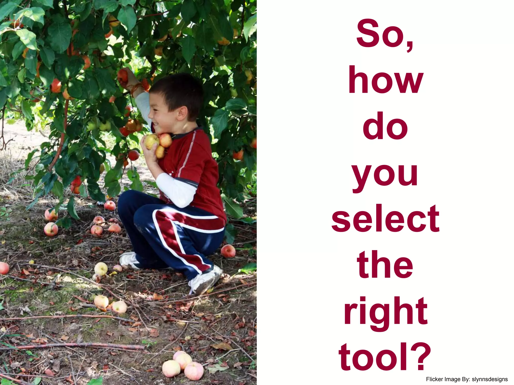 So,
how
do
you
select
the
right
tool?Flicker Image By: slynnsdesigns
 