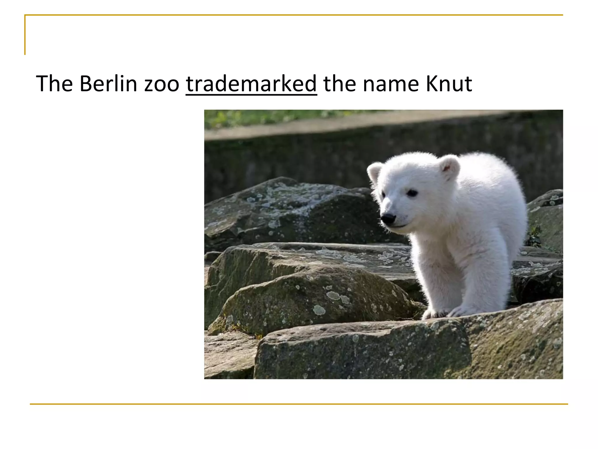 The Berlin zoo trademarked the name Knut
 
